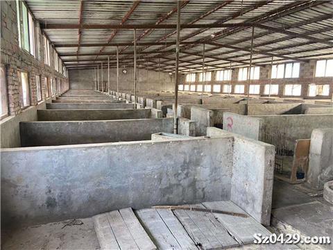 12000元/月 1500平米豬場誠心出租，養殖創業的不二之選