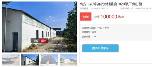 速看！高安30所小學場地出租，打造校內外資源共享新范式