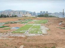 青島尋租指南 探秘租金最低的土地與場地租賃洼地
